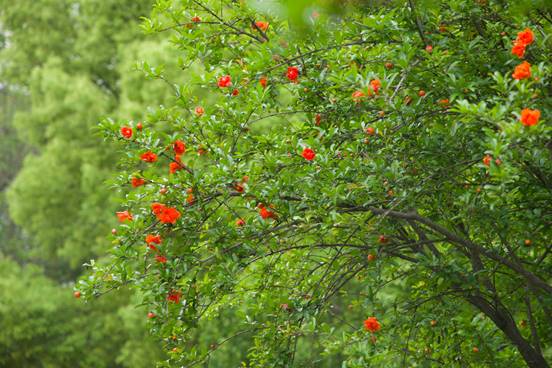 EC5962E59FB25847E511FD163E9B0A45