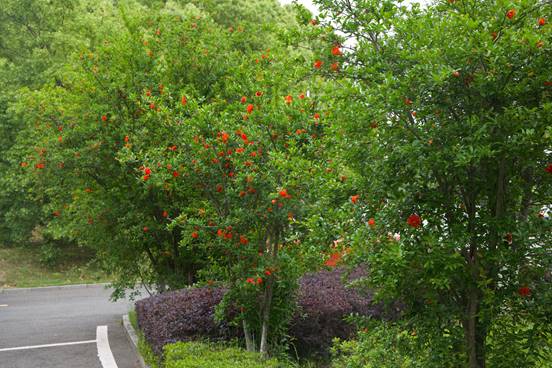 58ACBA5BC50FA6FD897065E090B97809